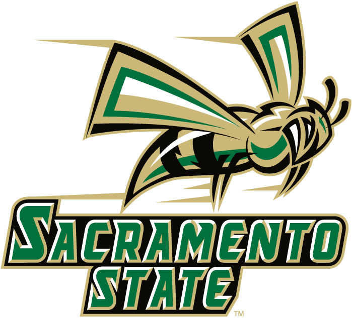 Sacramento State Hornets 2004-2005 Alternate Logo v2 diy iron on heat transfer